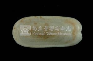 鴨嘴螺藏品圖，第2張