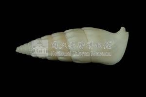 竹筍蟹守螺藏品圖，第2張