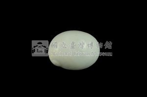 相模灣玉螺藏品圖，第2張