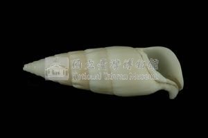 竹筍蟹守螺藏品圖，第3張