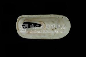 中華透孔螺藏品圖，第3張