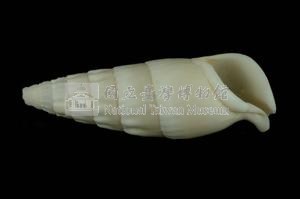 竹筍蟹守螺藏品圖，第3張
