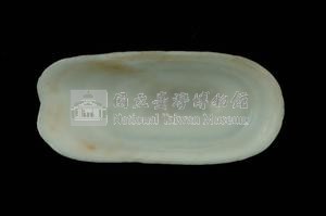 鴨嘴螺藏品圖，第3張