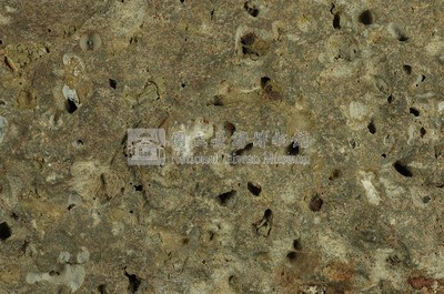 Aragonite Collection Image, Figure 11, Total 20 Figures