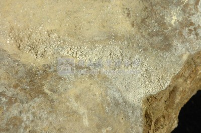北投石藏品圖，第9張