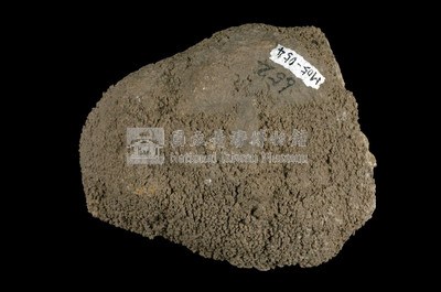 北投石藏品圖，第6張