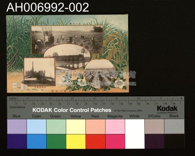 明治四十三年六月十七日第十五回始政紀念明信片藏品圖，第1張