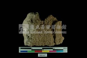 Hokutolite Collection Image, Figure 4, Total 6 Figures
