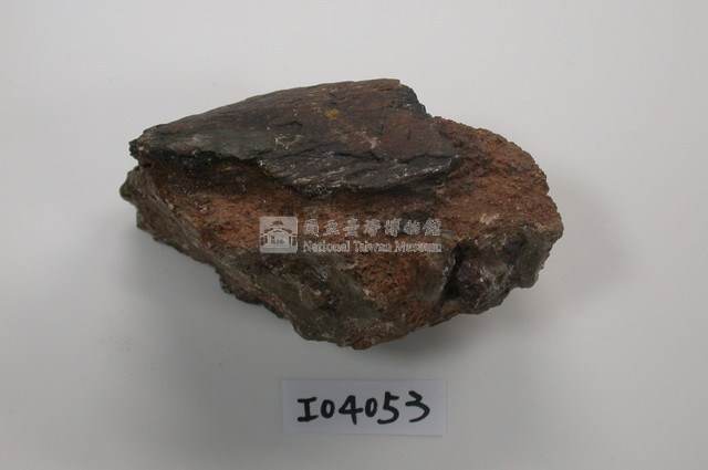 中國犀牛肢骨化石(模)藏品圖，第1張