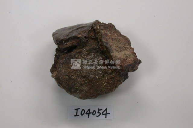 中國犀牛肢骨化石(模)藏品圖，第1張