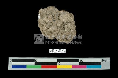 北投石藏品圖，第4張