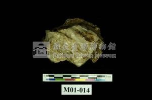 自然金藏品圖，第4張