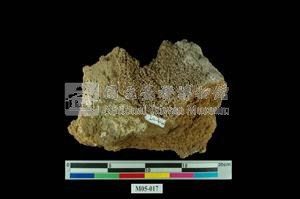 Hokutolite Collection Image, Figure 5, Total 6 Figures