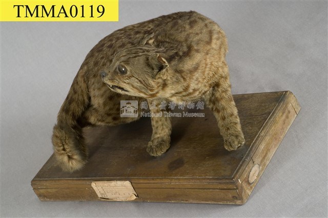 石虎藏品圖，第12張