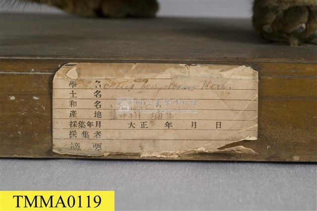 石虎藏品圖，第14張