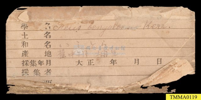 石虎藏品圖，第17張
