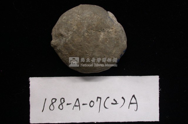 貨幣蟲藏品圖，第2張