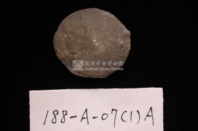 貨幣蟲藏品圖，第2張
