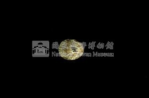 花邊青螺藏品圖，第2張