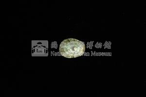 花邊青螺藏品圖，第2張