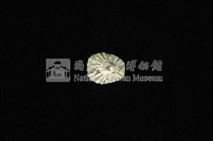 花帽青螺藏品圖，第2張