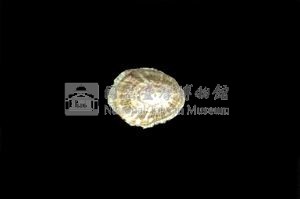 花帽青螺藏品圖，第2張