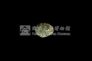 花邊青螺藏品圖，第2張