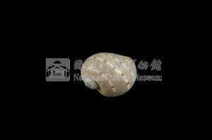 蝴蝶玉螺藏品圖，第2張