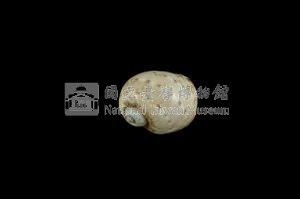 蝴蝶玉螺藏品圖，第2張