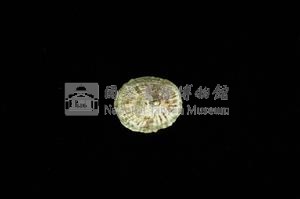 花帽青螺藏品圖，第2張