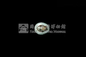 花邊青螺藏品圖，第3張