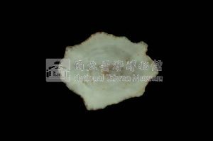 星笠螺藏品圖，第3張