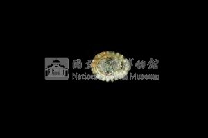 花帽青螺藏品圖，第3張