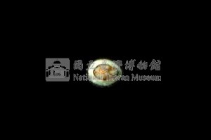 花邊青螺藏品圖，第3張