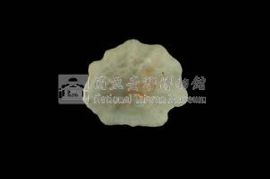 星笠螺藏品圖，第3張