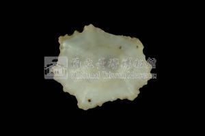 星笠螺藏品圖，第3張