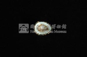 花邊青螺藏品圖，第3張