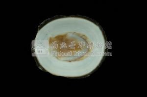 射線青螺藏品圖，第3張
