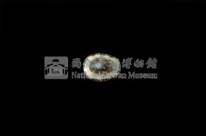 花邊青螺藏品圖，第3張