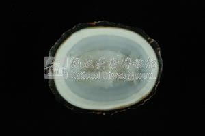 射線青螺藏品圖，第3張