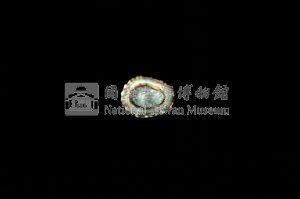 花邊青螺藏品圖，第3張
