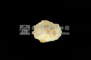 星笠螺藏品圖，第3張
