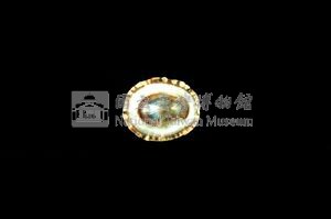 花帽青螺藏品圖，第3張