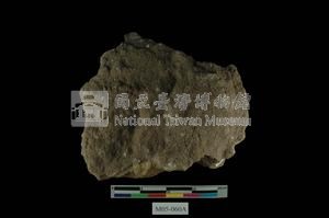 北投石藏品圖，第4張