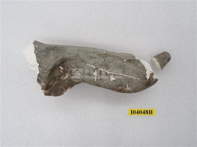 犀牛腿骨化石(模)藏品圖，第1張
