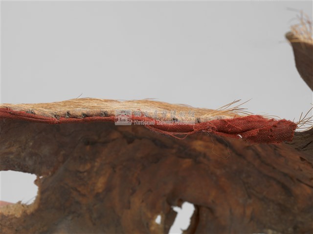 羌頭皮帽藏品圖，第20張