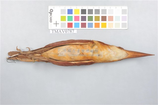 RuddyKingfisher Collection Image, Figure 3, Total 9 Figures