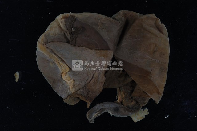 帝雉嗉囊藏品圖，第1張