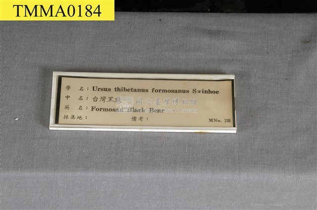 臺灣黑熊藏品圖，第18張