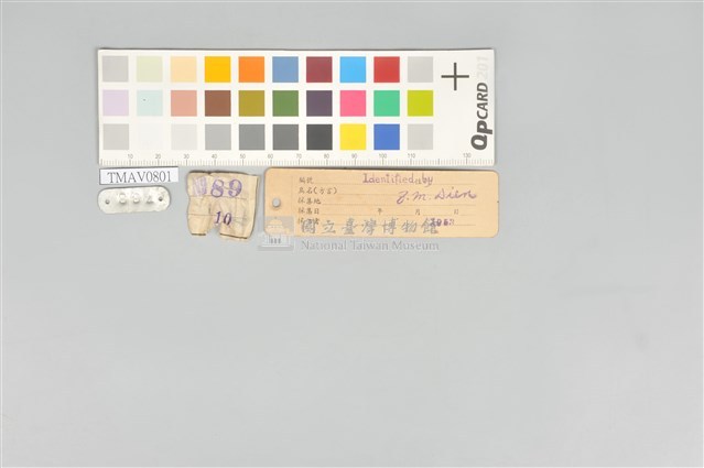 五色鳥藏品圖，第21張